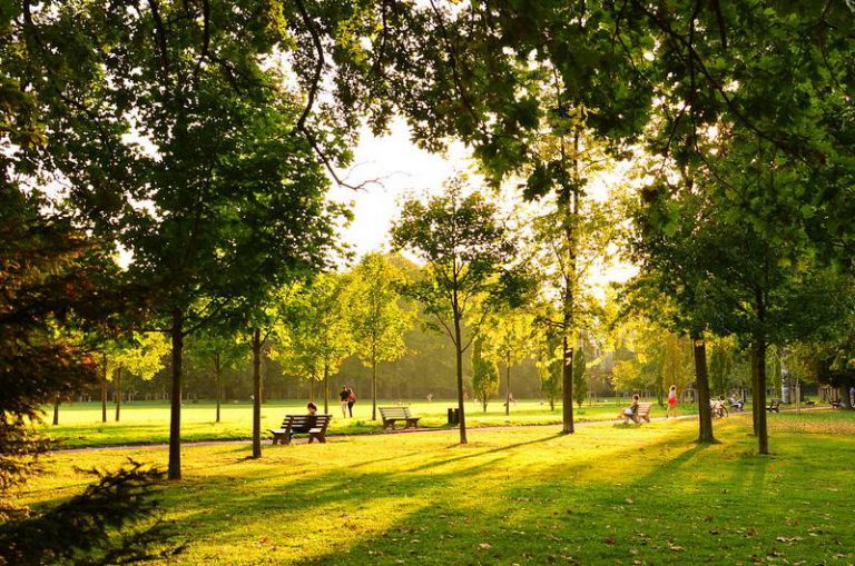 Où courir à Lyon : parcours au Parc de la Tête d'Or et à Fourvière