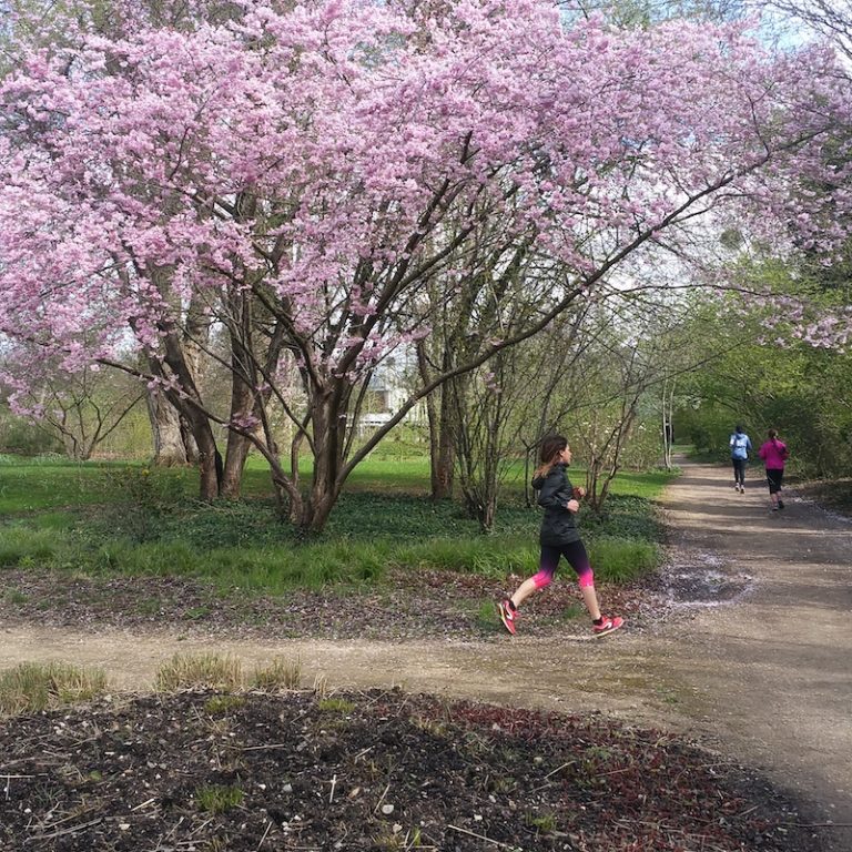 La RunMotion Race : une reprise en douceur pour Margot !
