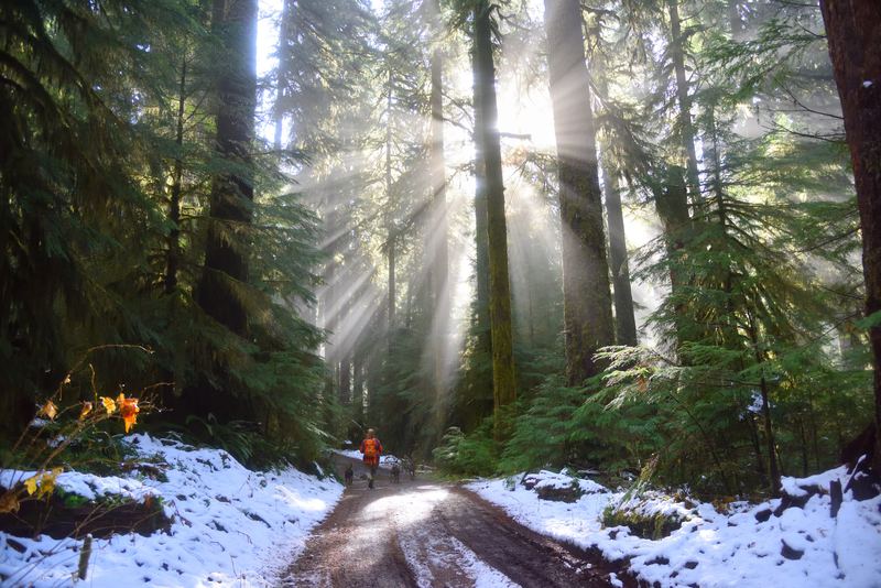 Coureur en trail-running réalise une séance fartlek en nature pour progresser en endurance.